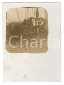 Fotografia d epoca originale 1900 ca ITALIA Giovane in campagna con pony  Fotografia anonima 6x9 1