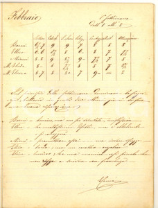 Documento originale, autentico 188485 ITALIA Quaderno mensile maestra E.C.CACCIA  Classe prima 1