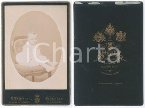 Fotografia d epoca originale 1880 ca PINEROLO Bambino su poltroncina  Ritratto Foto Pietro SANTINI 1