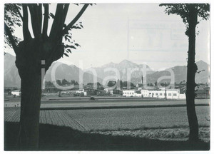 Fotografia d epoca originale 1952 OGGIONO LC Veduta panoramica con le montagne  Fotografia 12x17 cm 1