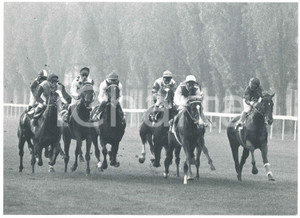 Fotografia d epoca originale 1978 MILANO Ippodromo di SAN SIRO Gara di ippica  Foto 30x22 cm 1