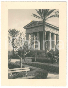 Fotografia d epoca originale 1950 ca LA VALLETTA MALTA Lower Barakka Gardens  Monumento ad Alexander Ball 1