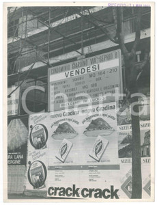 Fotografia d epoca originale 1959 MILANO Via Seprio 8  Condominio Giardino  Affissioni  Foto 18x24 cm 1