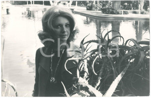 Fotografia d epoca originale 1970 ca ITALIA  CINEMA Sylva KOSCINA Ritratto dell attrice  Foto 30x20 cm 1