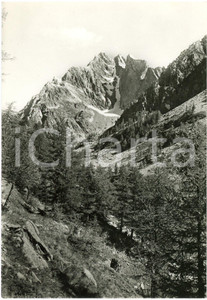 Cartolina originale da collezione 1960 ca VALLE GESSO Canalone di Lourousa e Corno Stella  Cartolina FG NV 1
