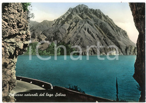 Cartolina originale da collezione 1960 LOVERE BG Veduta panoramica del Lago d Iseo  Cartolina FG VG 1