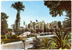 Cartolina originale da collezione 1960 ca DESENZANO DEL GARDA Ingresso del Camping VÃ²  Cartolina FG NV 1