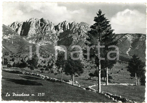 Cartolina originale da collezione 1967 CASTIONE DELLA PRESOLANA BG La Presolana  Cartolina FG VG 1