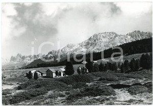 Cartolina originale da collezione 1953 VILLE DI FIEMME Altopiano di Lavazè e Gruppo del Latemar Cartolina ANIMATA 1
