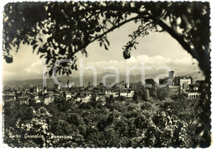 Cartolina originale da collezione 1950 ca ROCCA GRIMALDA AL Panorama con Castello MALASPINAGRIMALDA Cartolina 1
