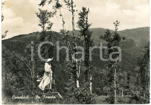 Cartolina originale da collezione 1955 POPPI Eremo di Camaldoli  Monaco benedettino nella foresta  Cartolina FG 1