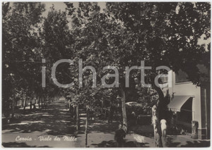 Cartolina originale da collezione 1950 ca CERVIA RA Viale dei Mille  Cartolina ANIMATA FG VG 1