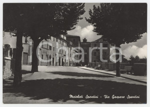 Cartolina originale da collezione 1958 MAIOLATI SPONTINI Via Gaspare Spontini  Cartolina campione ALTEROCCA FG VG 1