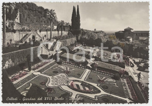 Cartolina originale da collezione 1960 ca COLLODI Dettaglio del Giardino di Villa Garzoni  Cartolina FG NV 1