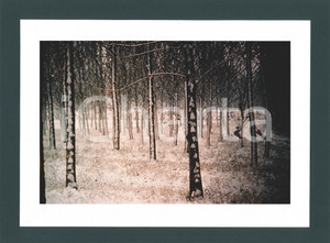 Fotografia d epoca originale 1980 Area di BRESCIA  Inverno Fotografia artistica Alberto SORLINI 40x30 cm 1