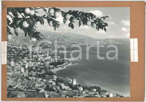 Stampa, bozzetto originale 1960 ca SANREMO  Veduta del Golfo  Bozzetto per cartolina 40x28 cm 1