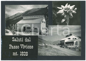 Stampa, bozzetto originale 1960 ca LOMBARDIA  PASSO DEL VIVIONE  Vedutine Bozzetto per cartolina 1