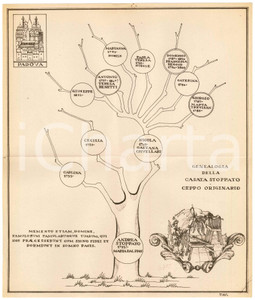 Stampa, bozzetto originale 1970 ca PADOVA  Famiglia STOPPATO  Albero genealogico ceppo originario 1