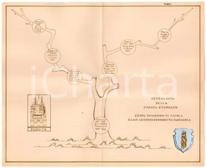 Stampa, bozzetto originale 1970 ca PADOVA Famiglia STOPPATO Albero genealogico ceppo Domenico di Nicola 2 1