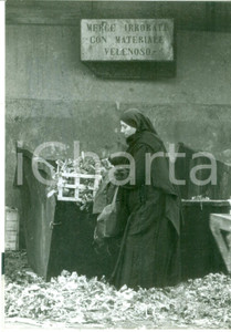 Fotografia d epoca originale 1964 MILANO Mercato Corso XXII Marzo  Suora raccoglie frutta per gli orfani 1