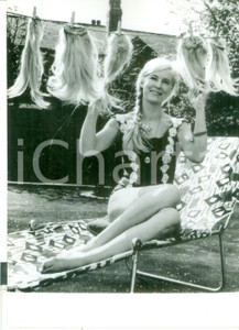 Fotografia d epoca originale 1966 LONDON Modella Lisa BROWN con la sua collezione di parrucche stese al sole 1