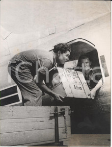 Fotografia d epoca originale 1953 FRANKFURT German sending humanitarian aid to Greece hurt by earthquake 1