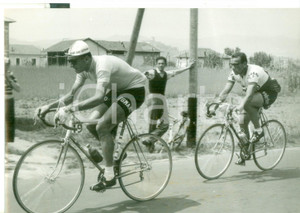Fotografia d epoca originale 1958 41Â° GIRO D ITALIA CICLISMO  Ercole BALDINI supera Antonio VIANI  Foto 1