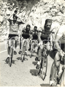 Fotografia d epoca originale 1966 BEZZECCA CICLISMO SALVARANI Giro Italia  Felice GIMONDI e Vittorio ADORNI 1