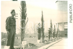 Fotografia d epoca originale 1956 NAPOLI Anniversario NATO  Forze armate durante piantagione dei cedri Foto 1