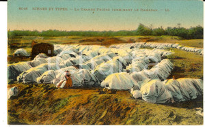 Cartolina originale da collezione 1929 ALGERIA La grande preghiera dopo il Ramadan  Cartolina postale VINTAGE 1