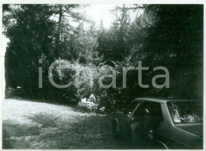Fotografia d epoca originale 1982 VAL GARDENA Picnic nella natura Fotografia artistica 18x13 cm 1