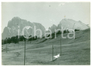 Fotografia d epoca originale 1982 ALPE DI SIUSI Panni stesi al sole della Val Gardena Fotografia artistica 1