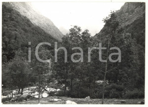 Fotografia d epoca originale 1974 VALLE GESSO DELLA BARRA CN Veduta panoramica Foto VINTAGE 18x13 cm 1