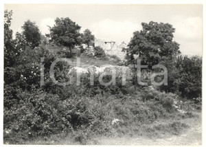 Fotografia d epoca originale 1976 ARCINAZZO ROMANO Scorcio di un paesaggio naturale  Foto 18x13 cm 1