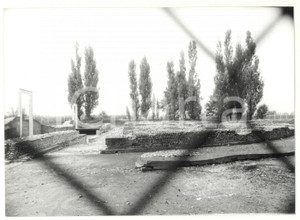 Fotografia d epoca originale 1981 BENE VAGIENNA CN Scorcio del Teatro Romano attraverso rete di protezione 1
