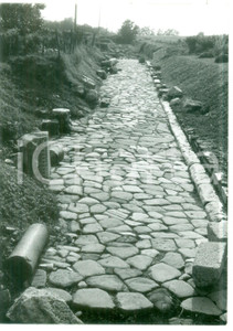 Fotografia d epoca originale 1979 AQUILEIA Via POSTUMIA antica strada consolare romana Foto VINTAGE 13x18 1