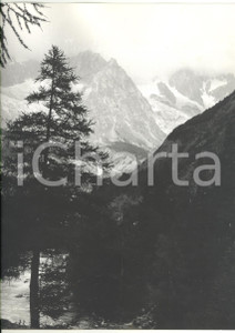 Fotografia d epoca originale 1976 VAL VENY Veduta panoramica del MONTE BIANCO Foto VINTAGE 24x30 cm 1