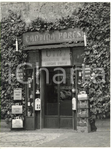 Fotografia d epoca originale 1970 ORVIETO Piazza del Duomo  Ingresso cantina FORESI Foto VINTAGE 18x24 1