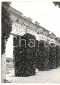 Fotografia d epoca originale 1979 AQUILEIA Capitelli romani lungo la Via Sacra Foto VINTAGE 13x18 cm 1