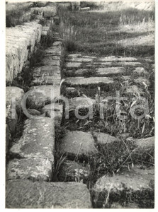 Fotografia d epoca originale 1976 TARQUINIA VT Ara della Regina  Strada romana Foto 13x18 1