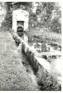 Fotografia d epoca originale 1980 FERENTINO FR Terme di Pompeo  Vasca termale Foto VINTAGE 13x18 cm 1