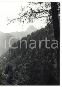 Fotografia d epoca originale 1981 VALLE VARAITA Veduta panoramica con monte PELVO sullo sfondo Foto 13x18 1