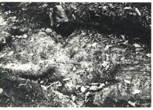 Fotografia d epoca originale 1978 VITERBO Sito archeologico di ACQUAROSSA  Resti abitato etrusco Foto 18x13 1