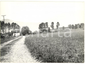 Fotografia d epoca originale 1974 SALUZZO CN Sentiero di campagna Foto VINTAGE 18x13 cm 1