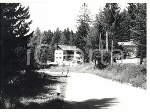 Fotografia d epoca originale 1982 RONZONE TN Villeggiatura estiva  Veduta di un albergo Foto VINTAGE 1