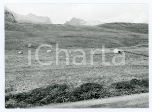 Fotografia d epoca originale 1976 ALPI GRAIE Colle del Piccolo San Bernardo  Lago Verney  Foto 17x13 cm 1 1