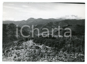 Fotografia d epoca originale 1974 BARGA Frazione CASTELVECCHIO PASCOLI Panorama  Foto 17x13 cm 1