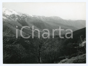 Fotografia d epoca originale 1977 FILETTINO LocalitÃ  CAMPO STAFFI Monti Cantari  Foto 17x13 cm 1