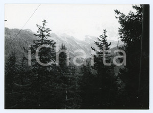 Fotografia d epoca originale 1977 LIVIGNO SO Panorama con montagne  Foto 17x13 cm 1