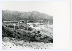 Fotografia d epoca originale 1980 ALPI PENNINE Gruppo del Mergozzolo  Panorama con MOTTARONE Foto 17x13 cm 1